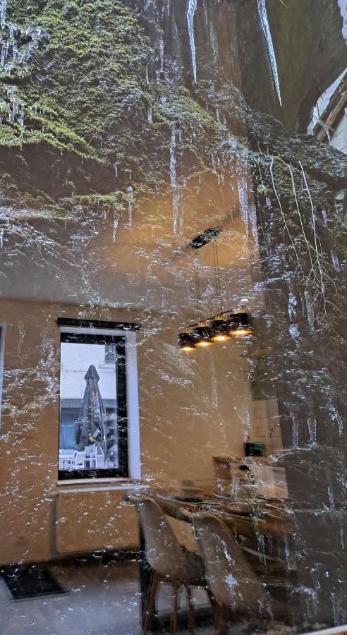 Gite Chez Nenene La Roche En Ardenne Διαμέρισμα Εξωτερικό φωτογραφία